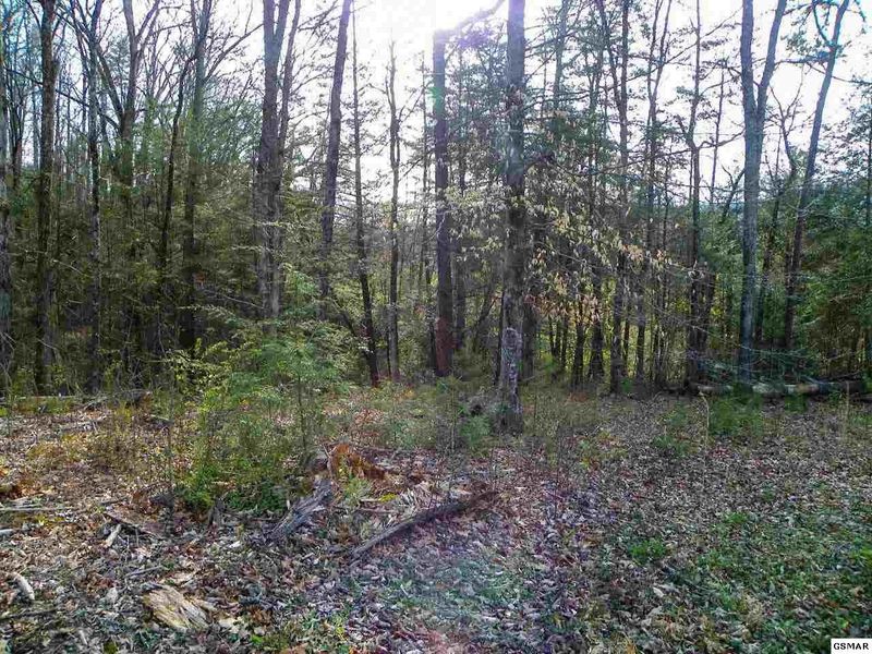 181 Dayne Dr Lot 18, Sevierville, TN 37876