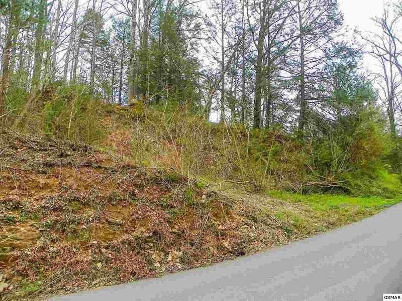 1 Shady Grove Rd Lot 1, Sevierville, TN 37876