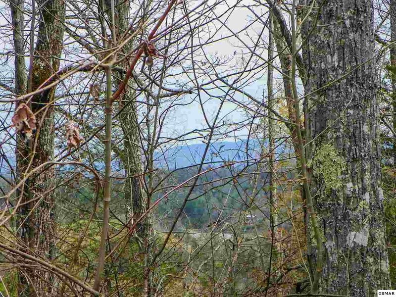 1 Shady Grove Rd Lot 1, Sevierville, TN 37876