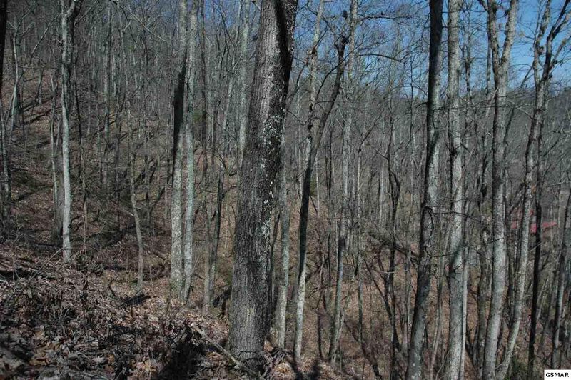 29 Whippoorwill Hill Way Lot 29, Sevierville, TN 37862