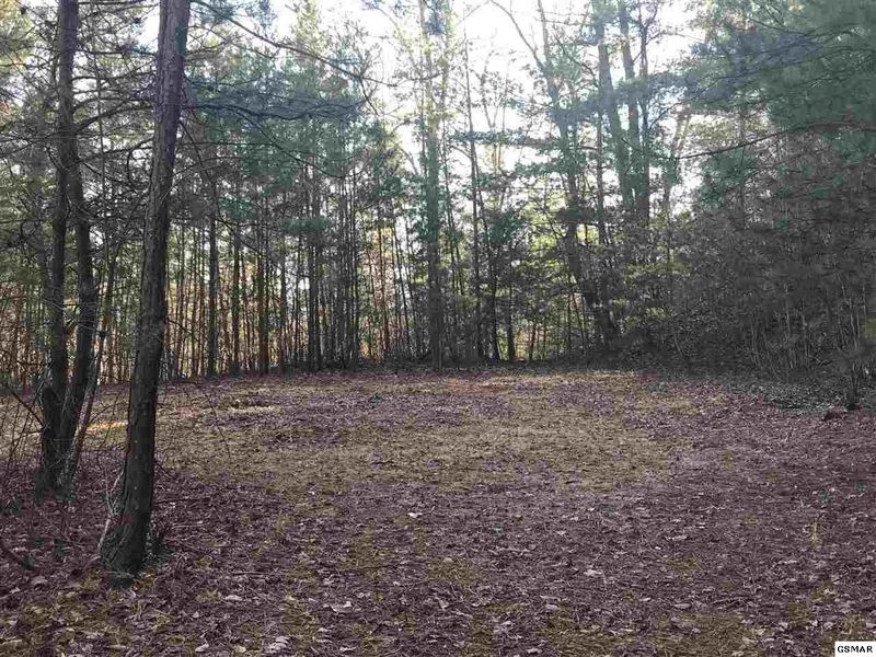 0 Hatcher Mountain Rd Lot 809, Sevierville, TN 37862