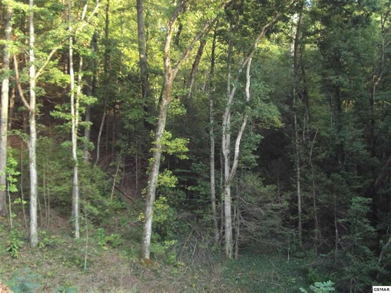 508 Gnatty Branch Rd Lot 1, Sevierville, TN 37876