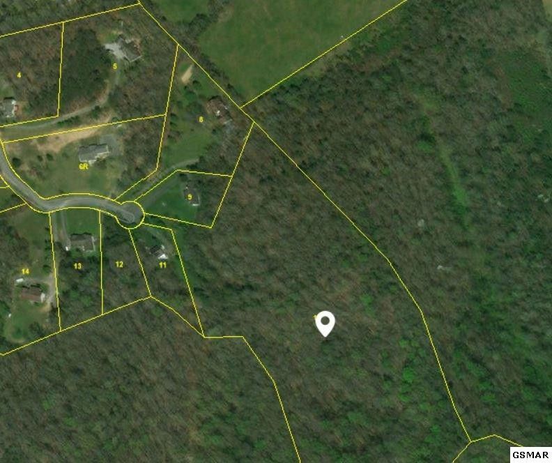 10 Boardly Hills Blvd Lot 10, Sevierville, TN 37862