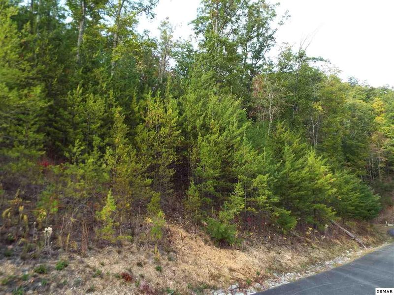 181 Jones Creek Ln Lot 181E, Sevierville, TN 37862