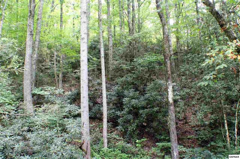 0 Dockery Branch Rd Lot TR-3, Sevierville, TN 37876