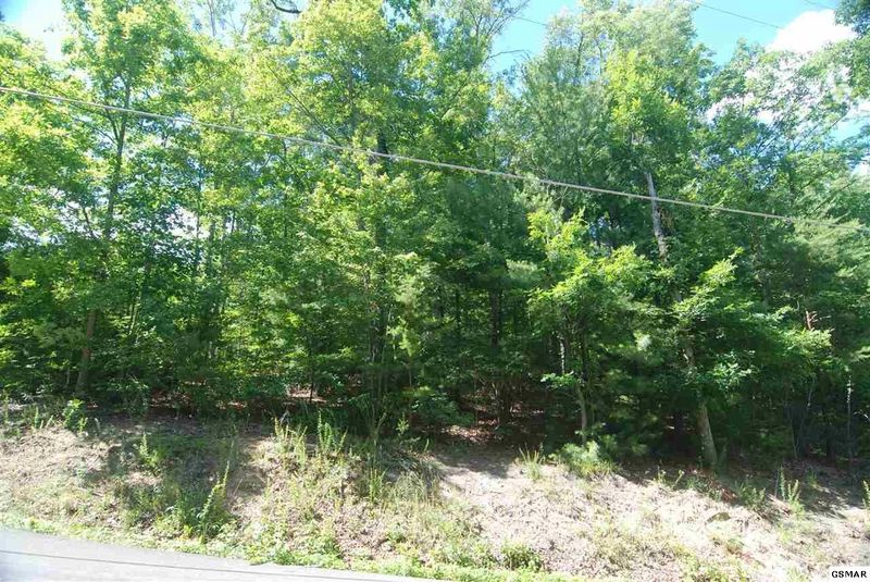 42 Sawmill Branch Dr Lot 42, Sevierville, TN 37862
