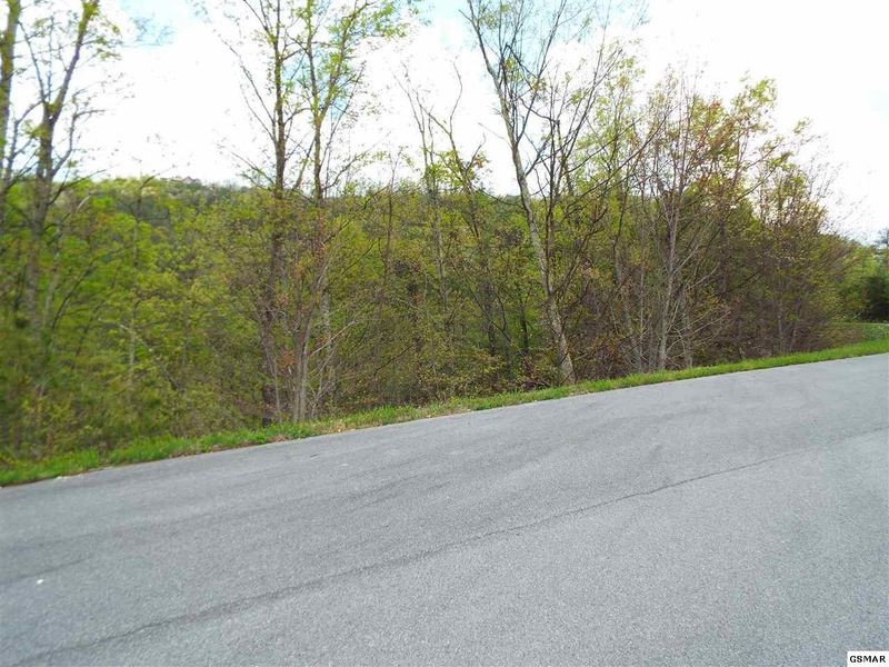 2 Stackstone Rd Lot 2E, Sevierville, TN 37876
