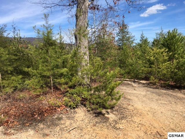 72 Cedar Falls Way Lot 72-R, Sevierville, TN 37862