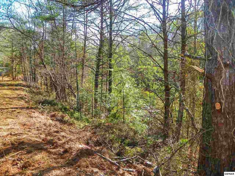 2 Oldham Springs Way Lot 2, Sevierville, TN 37862