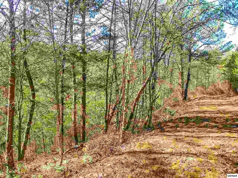 2 Oldham Springs Way Lot 2, Sevierville, TN 37862
