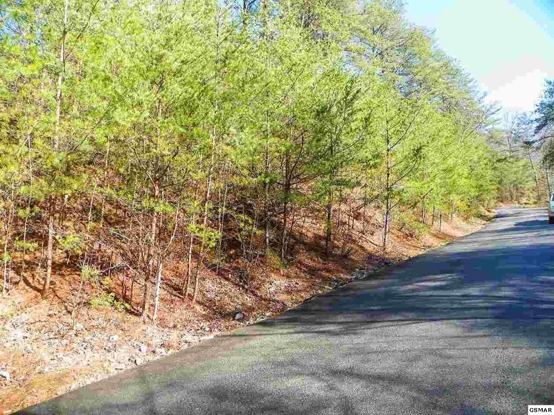 1 Oldham Springs Way Lot 1, Sevierville, TN 37862