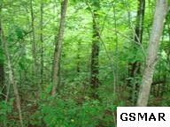 5 Sassafras Trl Lot 5, Sevierville, TN 37876