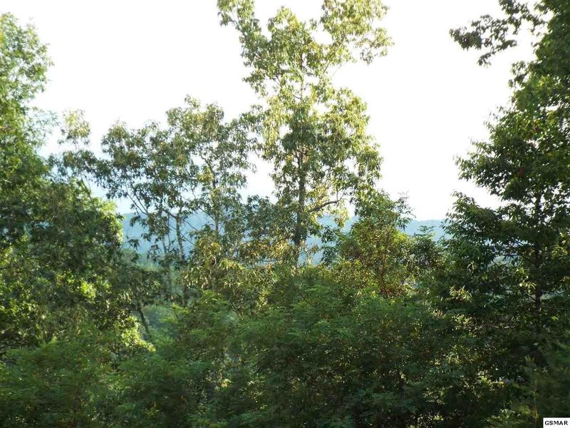 6 Blackthorn Trl Lot 6, Sevierville, TN 37876