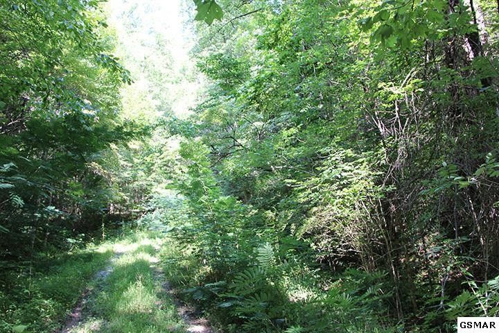 2702 Boogertown Lot 2, Sevierville, TN 37876