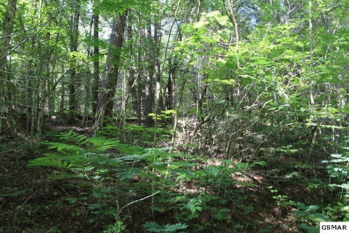 2702 Boogertown Lot 2, Sevierville, TN 37876