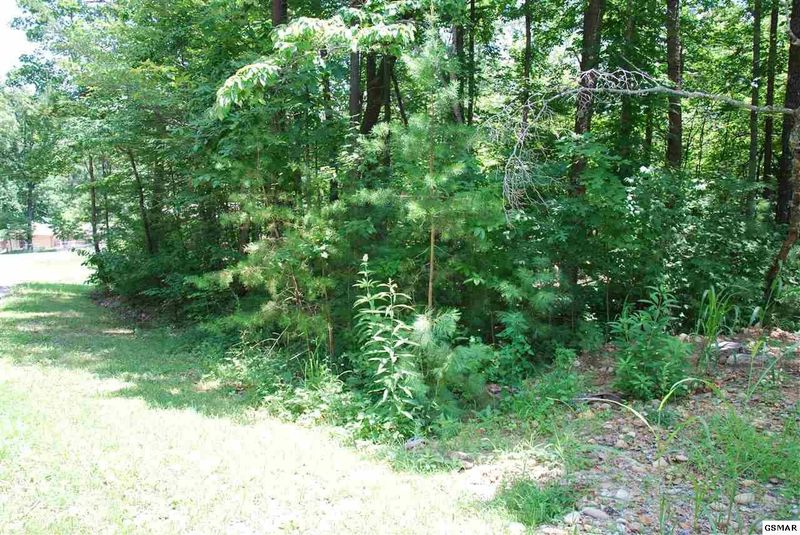 11 Beech Ct Lot 11, Sevierville, TN 37876