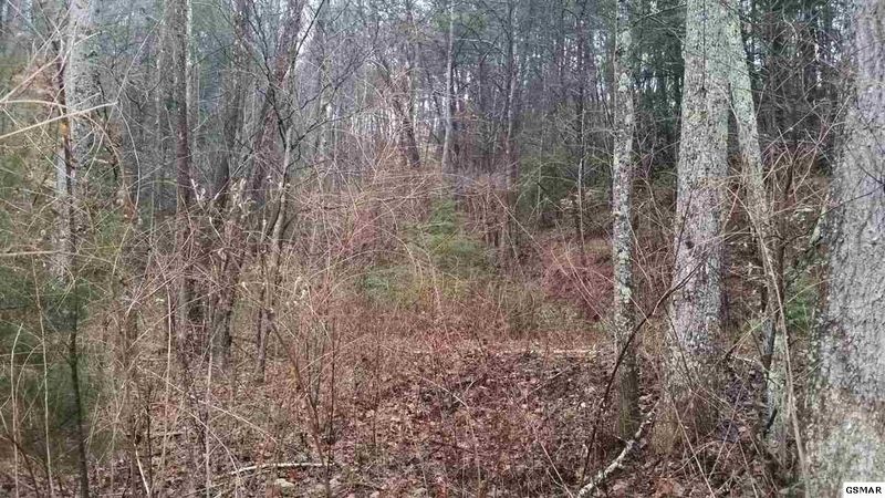 929 Mill Creek Rd, Sevierville, TN 37876