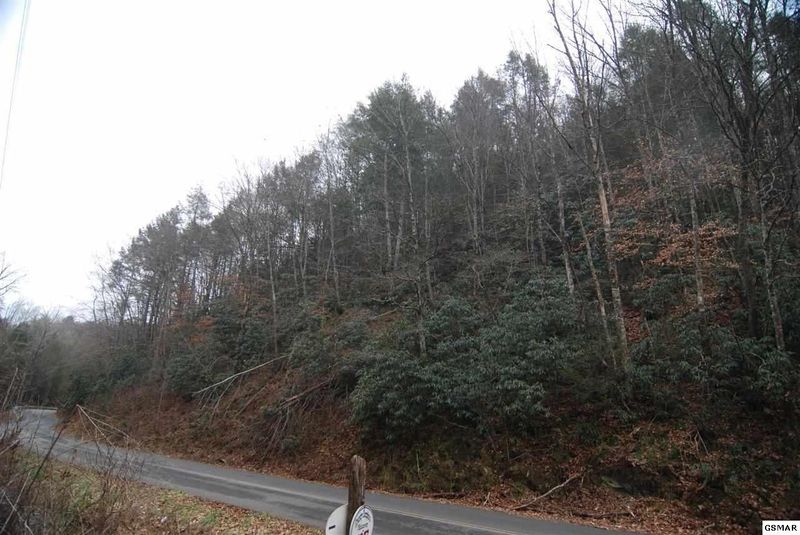 18 Henry Town Rd, Sevierville, TN 37876