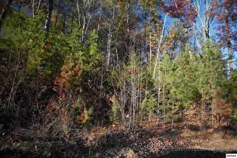 152 Bear Valley Rd Lot 152, Sevierville, TN 37862