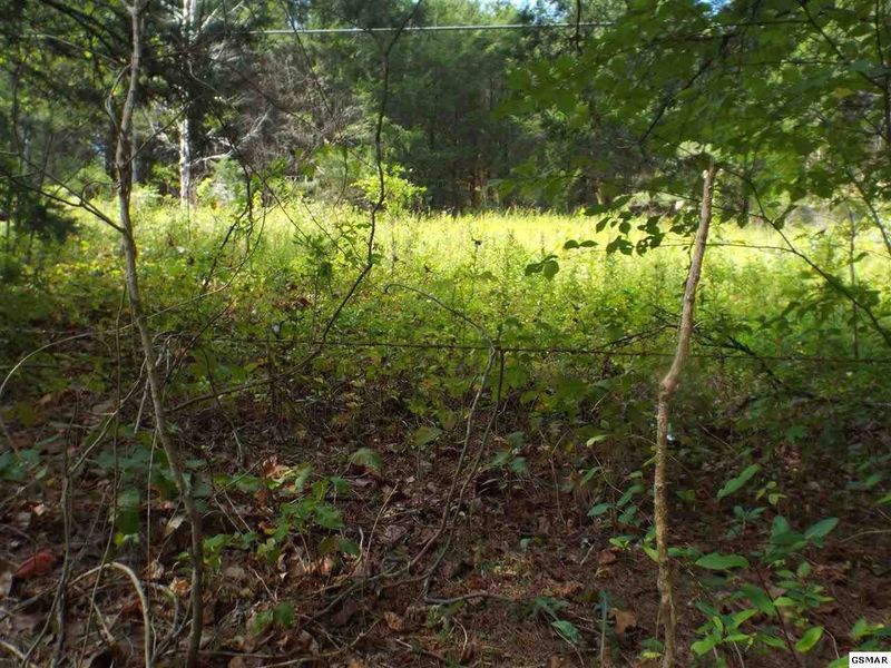 0 Flat Creek Rd Lot 7, Sevierville, TN 37876