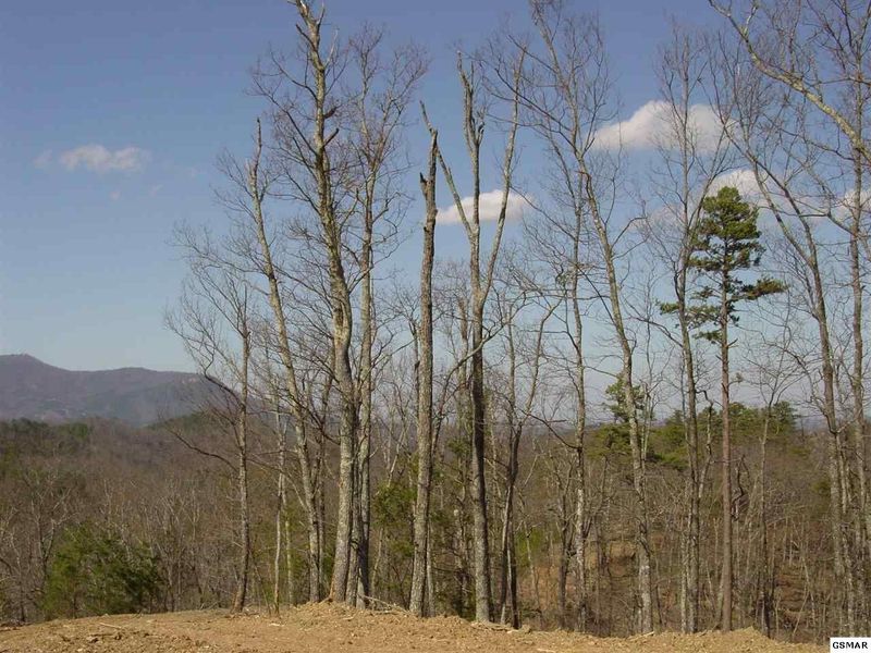 55 Cloud View Dr Lot 55, Sevierville, TN 37862