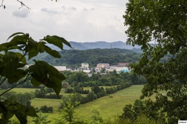 194 Wilderness Path Way Lot 193, Sevierville, TN 37876