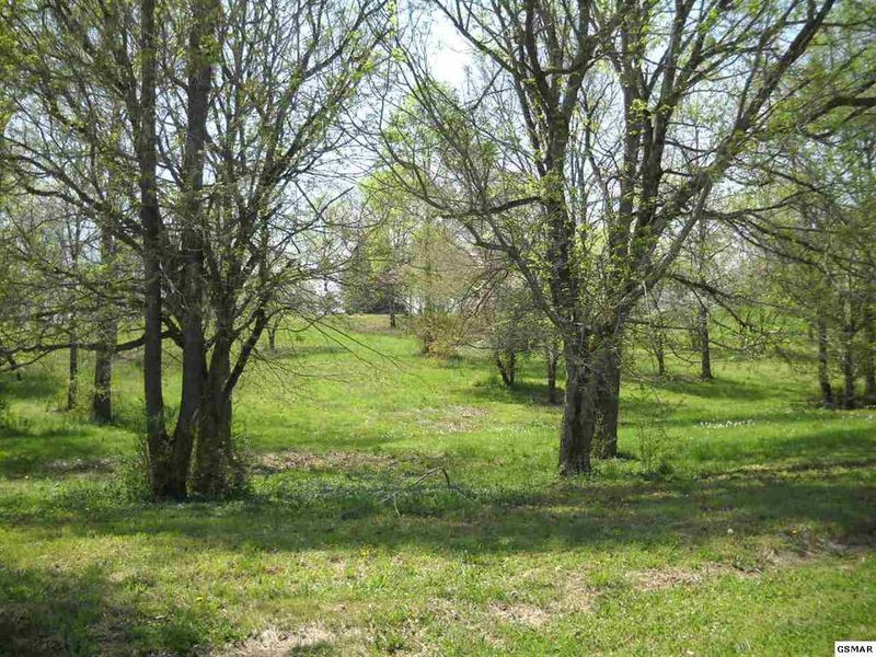 11 Joel Ave Lot 11, Sevierville, TN 37876
