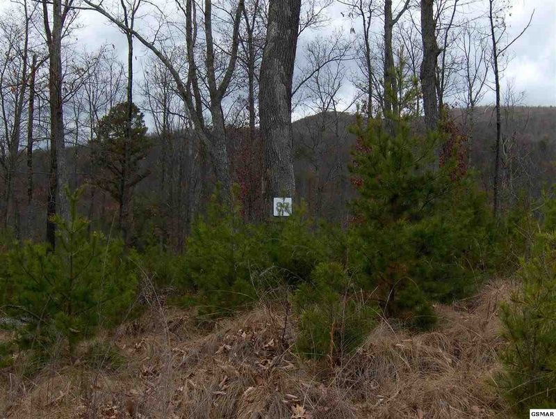 87 Smoky Bluff Trl Lot 87, Sevierville, TN 37876