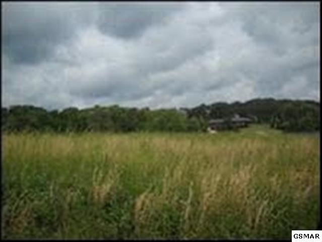 0 N Pitner Rd Lot 4, Sevierville, TN 37876