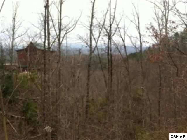 0 Blackthorn Trl Lot 11, Sevierville, TN 37876