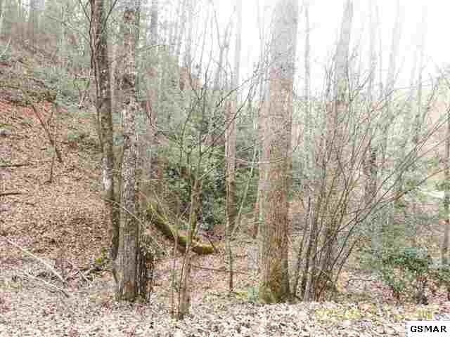 16 Clearfork Sec 1 Lot 16, Sevierville, TN 37876