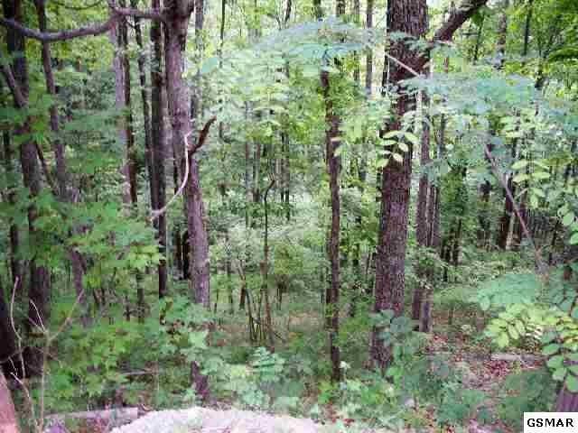 67 Azalea Trl Lot 67, Sevierville, TN 37876