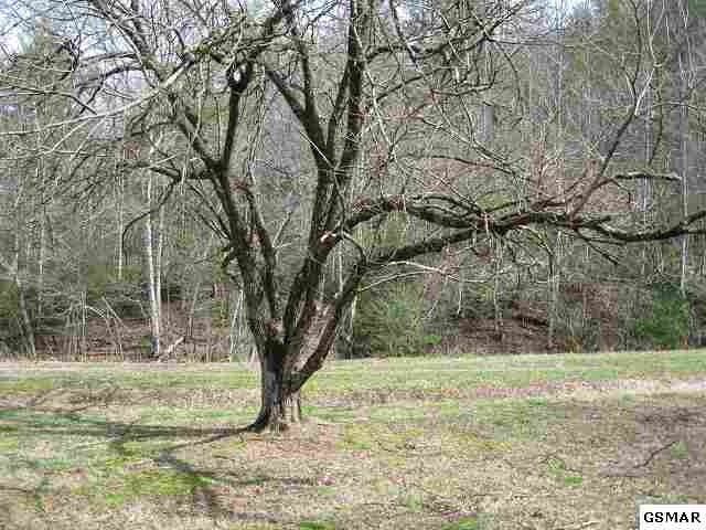 26 Clearfork Rd Lot 26, Sevierville, TN 37862