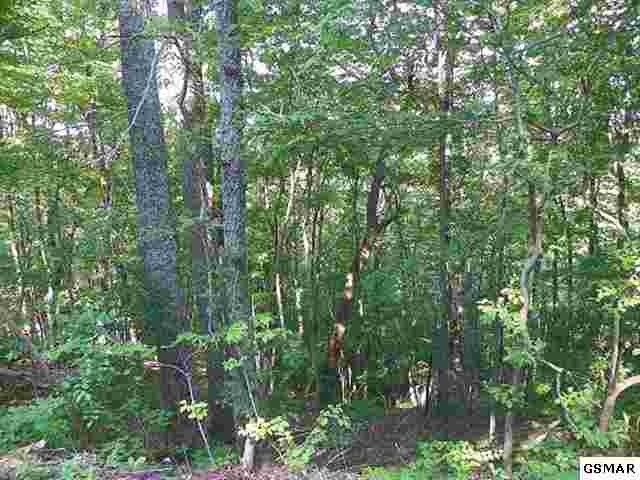 6 Headrick Lead Lot 6, Sevierville, TN 37862
