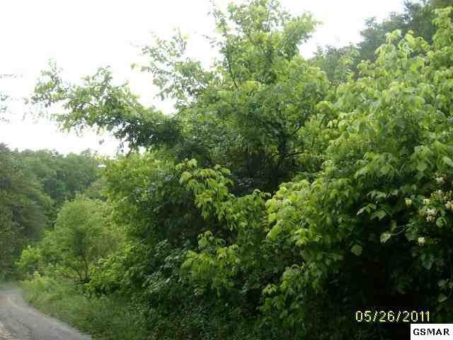 13 Paradise Way Lot 13, Sevierville, TN 37876