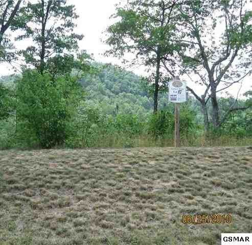 17 Mountain Ash Way Lot 17, Sevierville, TN 37876
