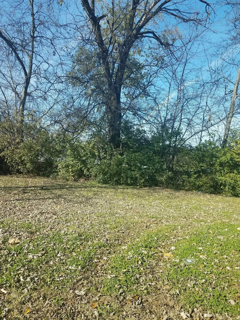 1817 7th Ave N, Nashville, TN 37208