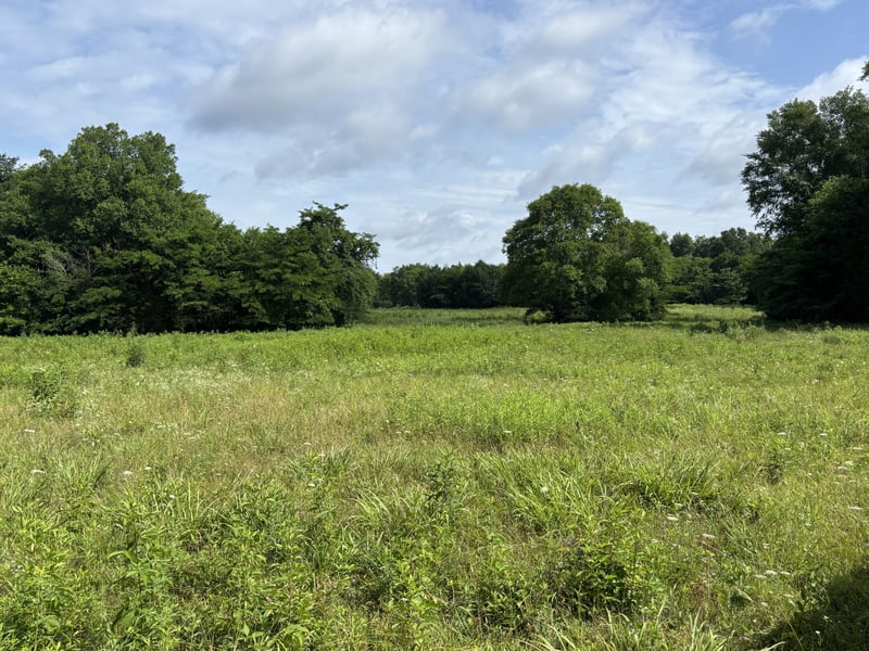 19 Vesta Rd Lot 19, Lebanon, TN 37090