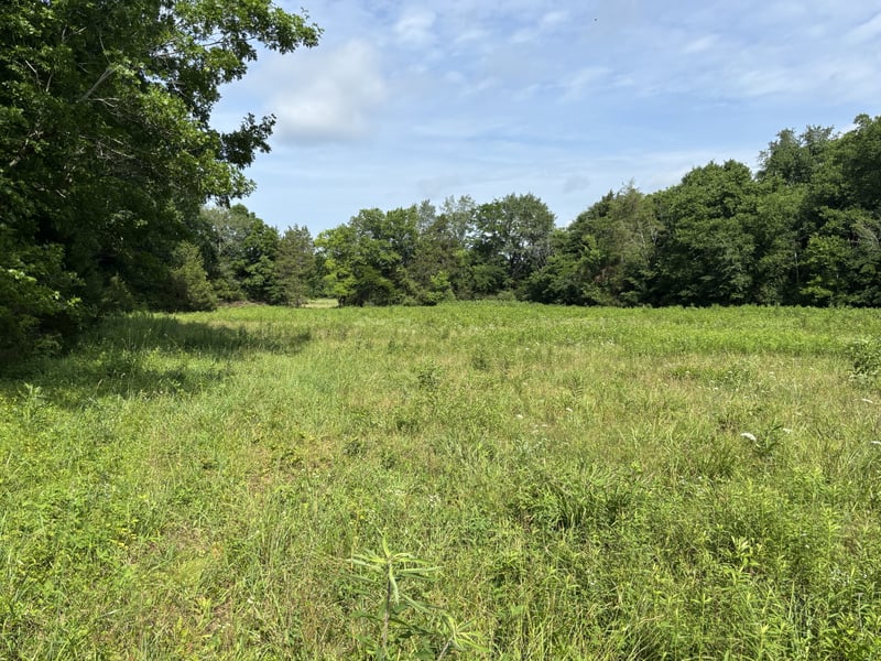 19 Vesta Rd Lot 19, Lebanon, TN 37090