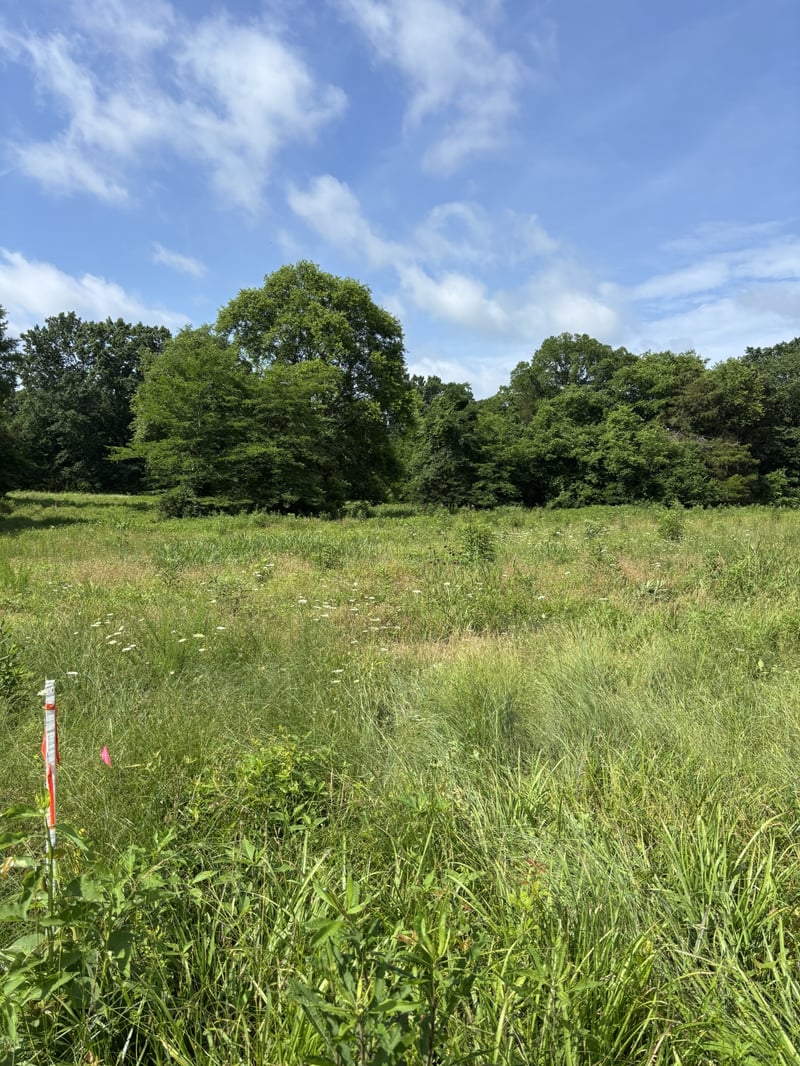 19 Vesta Rd Lot 19, Lebanon, TN 37090