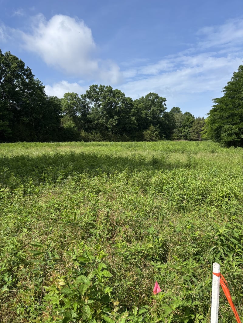 19 Vesta Rd Lot 19, Lebanon, TN 37090