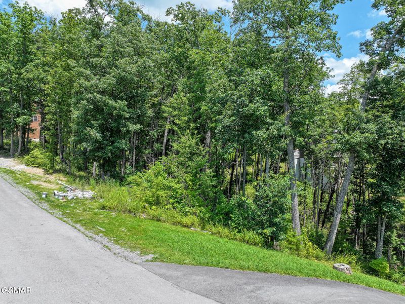 59 Mountain Holly Way Lot 59, Sevierville, TN 37862
