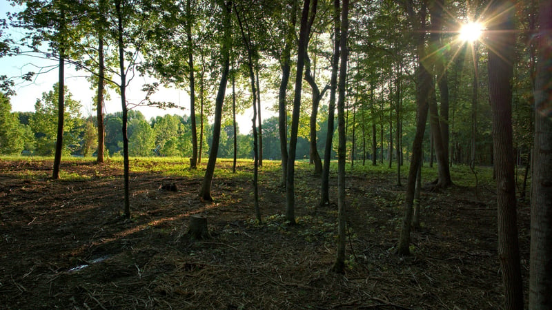 0 Keystone Dr Lot 2, Pleasant View, TN 37146