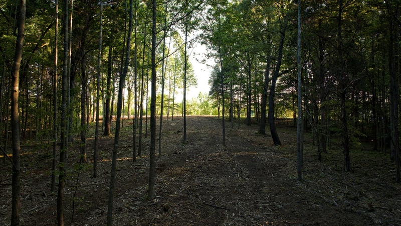 0 Keystone Dr Lot 2, Pleasant View, TN 37146