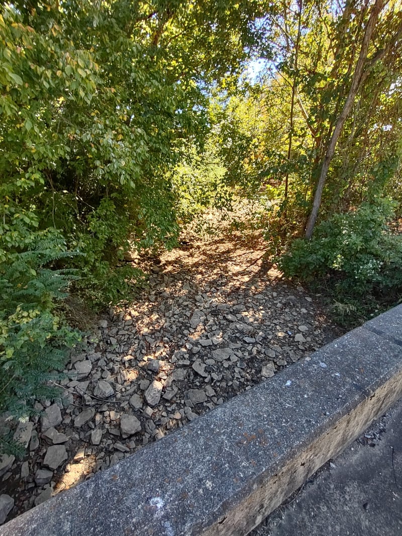 0 Bear Creek Pike Lot 1 & 2, Columbia, TN 38401