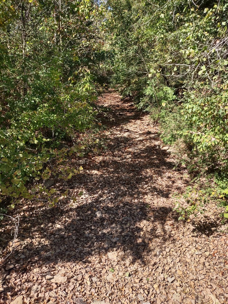 0 Bear Creek Pike Lot 1 & 2, Columbia, TN 38401