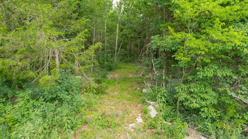 0 Morgan Rd, Rockvale, TN 37153