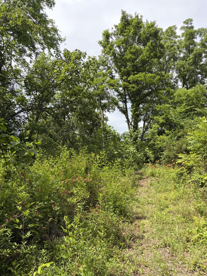 200 Robert Neal Durham Rd, Bethpage, TN 37022