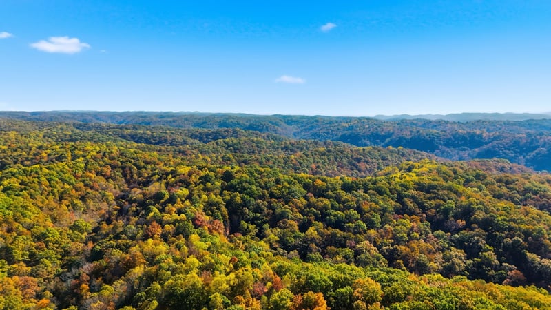 4300 Bull Run Rd, Ashland City, TN 37015