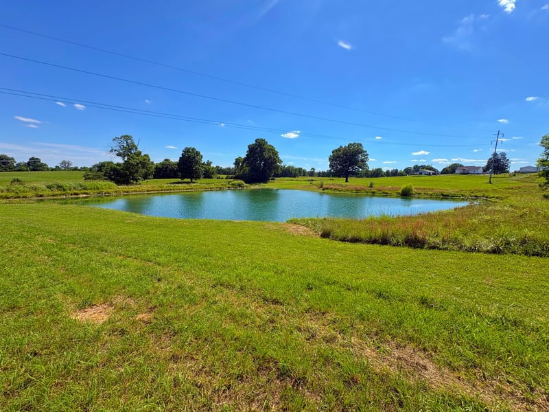 485C Canoe Branch Rd Lot 3, Castalian Springs, TN 37031